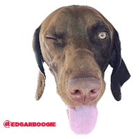 edgar Sticker by Brett Eldredge
