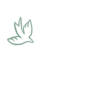 Schelske spirit spiritual dove book launch Sticker