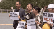 news hong kong claudia mo GIF