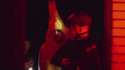Kb Agraelus GIF