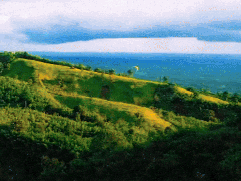 Bangladesh Airtel GIF