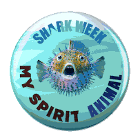 Shark Week Sticker by Discovery Channel Turkiye