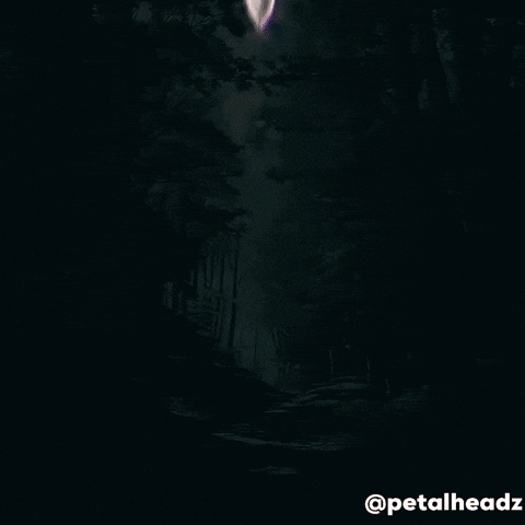 Pokemon Sword GIF by Evan Hilton