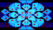 Video Art GIF by cskonopka