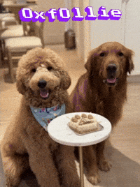 Oxfollie GIF by Unlimited Books PH