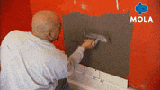 Art Living GIF by MolaTV