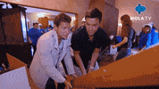 Art Living GIF by MolaTV