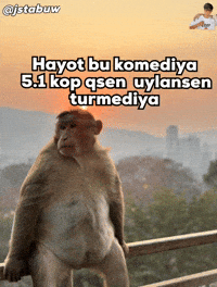 Uzbekistan Komediya GIF