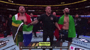 Sport Mma GIF by UFC