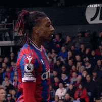 Come Here France GIF by Crystal Palace Football Club