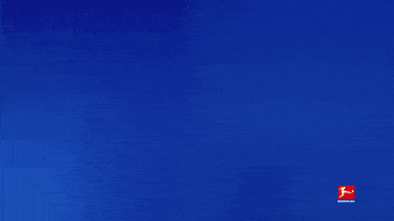 Tsg Hoffenheim Thank You GIF by Bundesliga