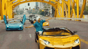 Born To Shine GIF by Diljit Dosanjh