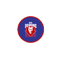 Football Sticker by @aflse