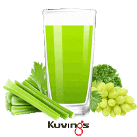 Health Juicing Sticker by Kuvings