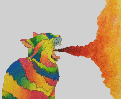 cat fire GIF