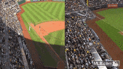 pit GIF by MLB