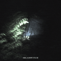 blair witch horror GIF by Lionsgate
