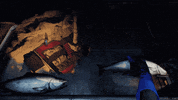 annapurnainteractive annapurnainteractive edithfinch GIF