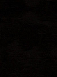 Cowboy Son GIF