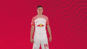Oh Yeah Yes GIF by RB Leipzig