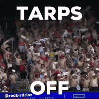 St Louis Cardinals GIF