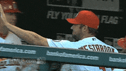 st. louis cardinals GIF by MLB