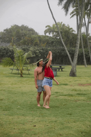 jinjoosong giphygifmaker GIF