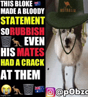 P0Bzo GIF