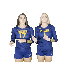 RegisVolleyball volleyball cure lindsey curtis Sticker