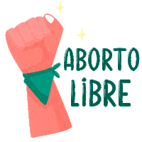 jackelindelcid feminism feminismo abortion womens rights Sticker