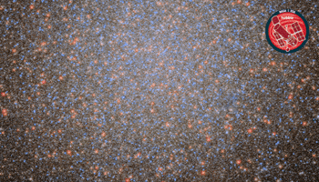 Deep Space Stars GIF by ESA/Hubble Space Telescope