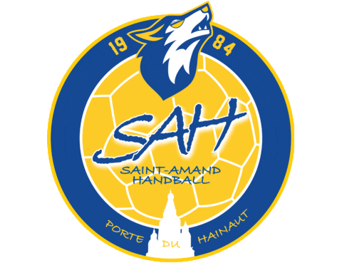 SaintAmandHandball giphyupload lameute leslouves sahph Sticker