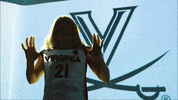 Uva Virginiacavaliers GIF by Virginia Athletics