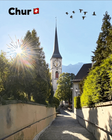Davecodex switzerland schweiz swiss alps GIF