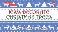 Never Touched A Christmas Tree