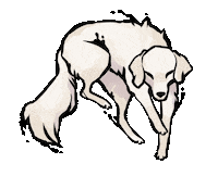 Golden Retriever Cat Sticker