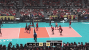 Happy Sport GIF by Volleyball World