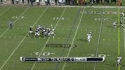 oakland raiders page GIF