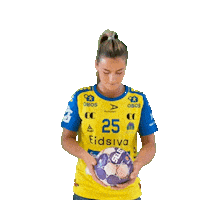 Storhamar Rema1000Ligaen Sticker by Norsk Topphåndball