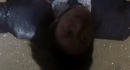 stephen chow xi ju zhi wang GIF