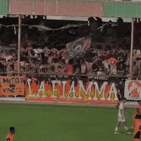 Wob GIF