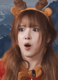 Christmas What GIF