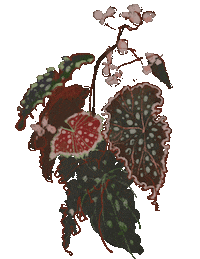 Art Flower Sticker