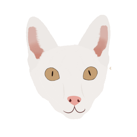 Cat Trico Sticker