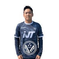 Football Sport Sticker