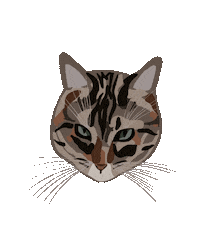 Cat Face Sticker