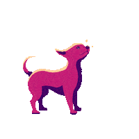 jackwatson05 space stars doggo constellation Sticker