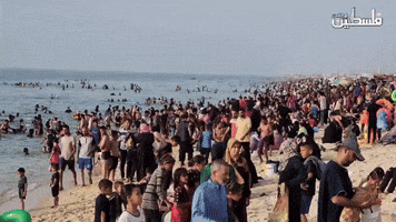 Gaza Families Head to the Beach to 'Escape Heat of Tents'