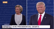 GIF by Alex Bedder