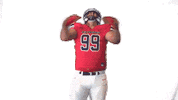 Defense Murray Sticker by Richmond Spiders